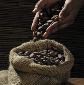 Best Coffee Roasters- Mid-Atlantic