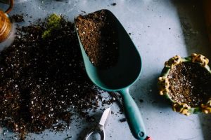 Add Coffee Ground to Compost