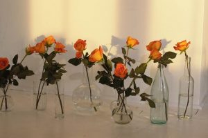 Add Coffee Grounds to Fresh FLowers